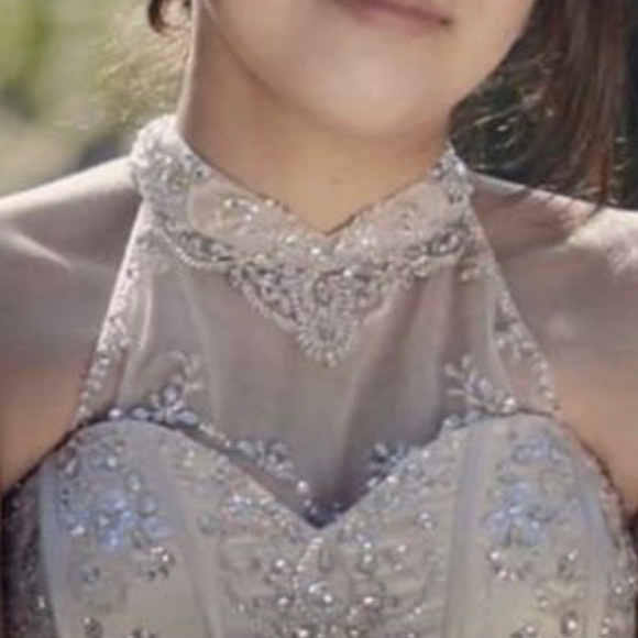 Champagne Color Dress - Picture 4 of 5